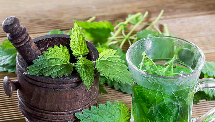 چای و دمنوش گیاهی خارجی